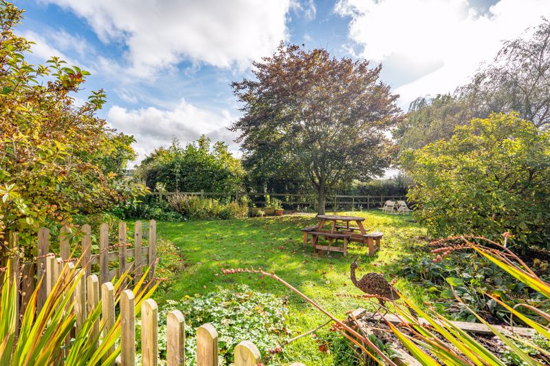 Garden- click for photo gallery